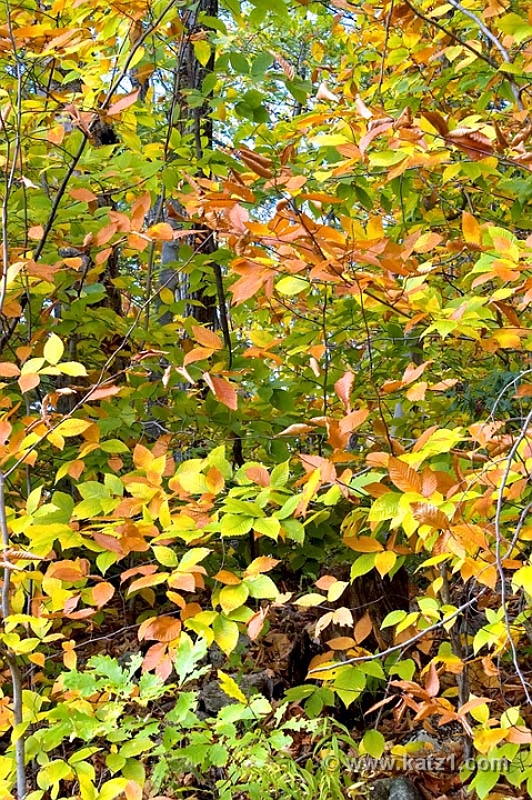 Fall '05 - 3